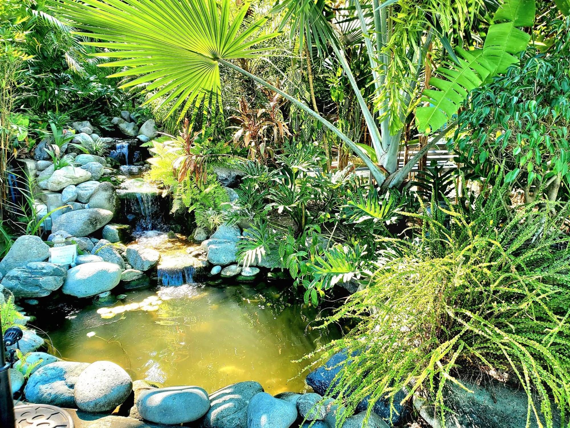 Hidden Palms Inn San Juan  Extérieur photo